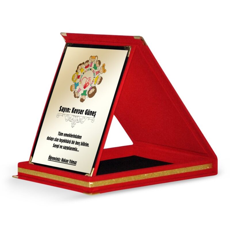 Kişiye Özel Çocuk Gelişimi Öğretmeni Kırmızı Plaket - 2