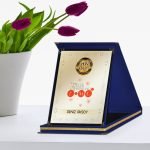 Kişiye Özel Yılın En İyi Fizik Öğretmeni Lacivert Plaket Ödülü - 2