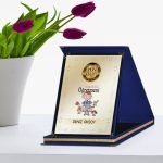 Kişiye Özel Yılın En İyi Anaokulu Öğretmeni Lacivert Plaket Ödülü - 2