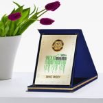 Kişiye Özel Yılın En İyi Yazılım Mühendisi Lacivert Plaket Ödülü