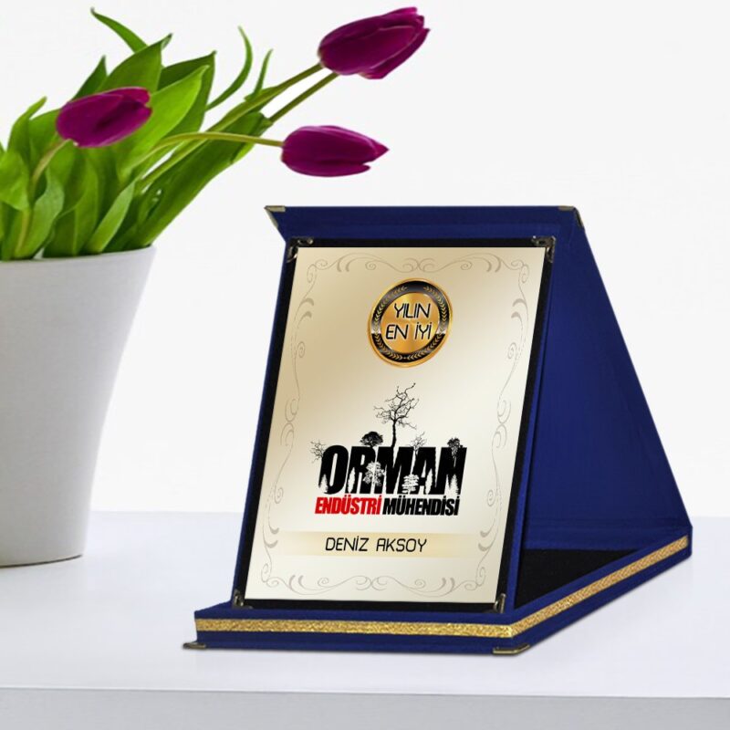 Kişiye Özel Yılın En İyi Orman Endüstri Mühendisi Lacivert Plaket Ödülü